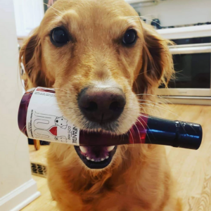 Dog Wine